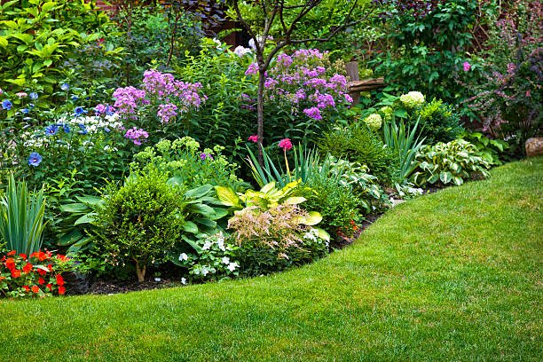 lawn-care-port-moody