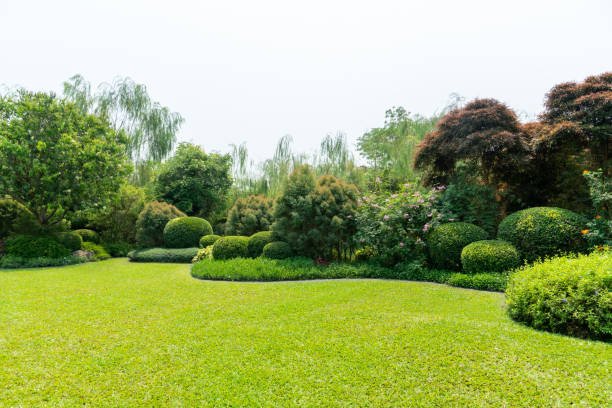 lawn-care-services-port-moody