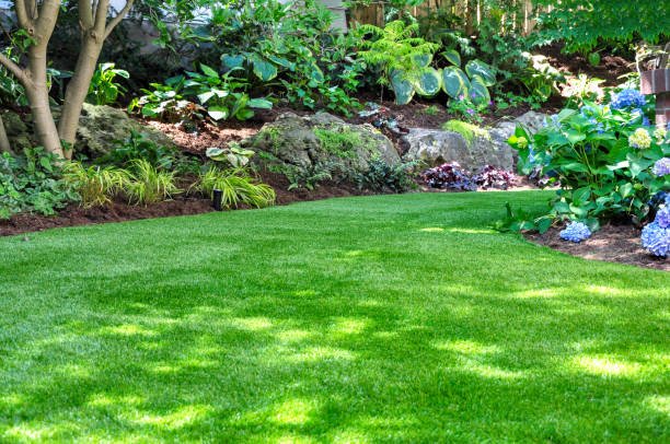 lawn maintenance port moody