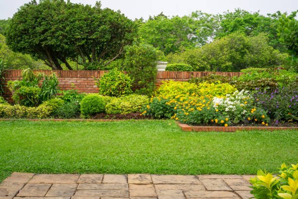 yard maintenance Port Moody - AstraGreen Lawn Care