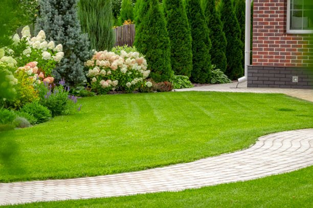 Yard maintenance services port moody