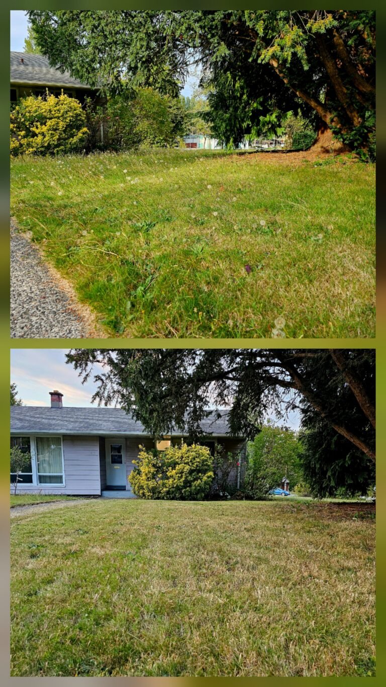 Lawn Mowing Service Port Moody - AstraGreen LAwn Care