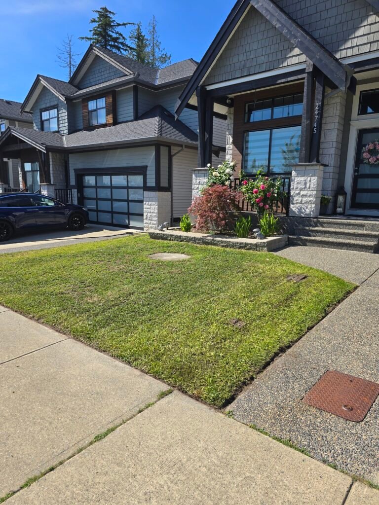 Port Moody Lawn mowing services - Astragreen lawn care