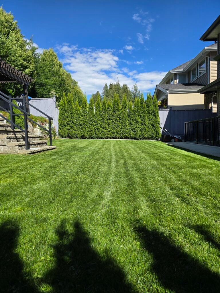 Lawn care services Port Moody