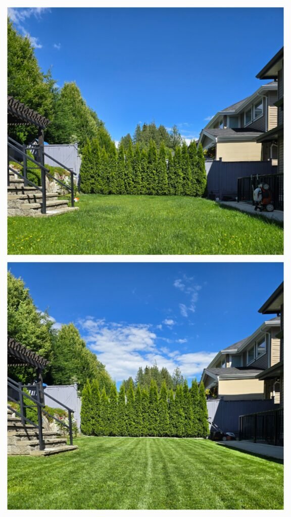 Port Moody Lawn Care - AstraGreen Lawn Care